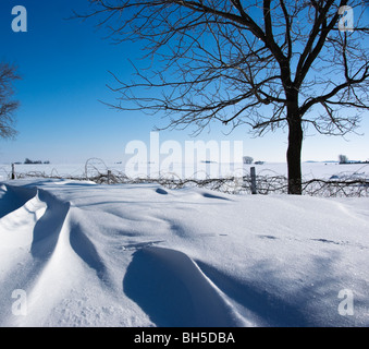 Eine geriffelte Linie von Schneeverwehungen trifft einen alten Zaun mit Weinreben und einen alten Baum gegen den Horizont und tiefblauen Himmel bedeckt Stockfoto