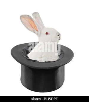 Kaninchen im Hut isoliert auf weißem Hintergrund Stockfoto