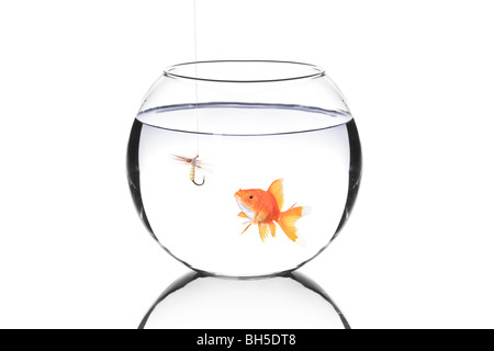 Goldfischglas mit einem Angelhaken und ein Fisch auf weißen Hintergrund isoliert Stockfoto