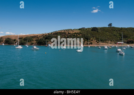 Gruppe von Segeln Boote vertäut auf Waiheke Island, Neuseeland Stockfoto