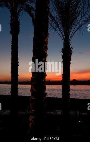 Hilton Luxor Resort &amp; Spa am Nil in Luxor, Ägypten, Afrika Stockfoto