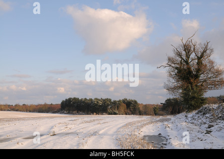 Winter im Schnee bedeckt Tunstall Stockfoto