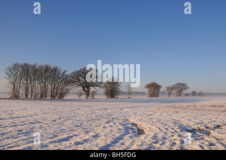 Winter im Schnee bedeckt Tunstall Stockfoto