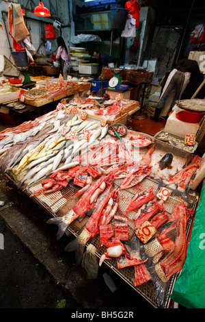 Leute einkaufen im Hong Kong Wanchai Road Wet Market in der Nacht. Stockfoto