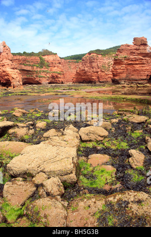 Blick auf Ladram Bucht, East Devon. Die Jurassic Coast, England Stockfoto