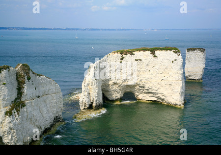 Old Harry Rocks, in der Nähe von Studland, Dorset. Die Jurassic Coast, England. Stockfoto