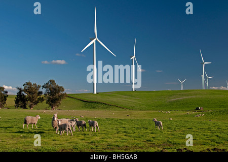 Shiloh II-Windprojekt in der Nähe von Rio Vista, Kalifornien. Stockfoto