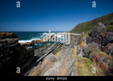 Teil der Otter Trail, Tsitsikamma, Garden Route National Park, Südafrika Stockfoto