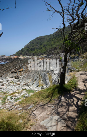 Teil der Otter Trail, Tsitsikamma, Garden Route National Park, Südafrika Stockfoto