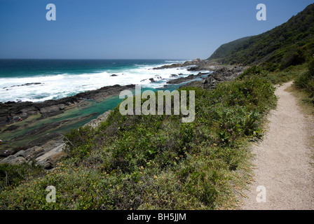 Die ersten paar Kilometer von der Otter Trail, Tsitsikamma, Garden Route National Park, Südafrika Stockfoto