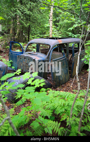 Verlassene Wrack einer Kugel durchlöchert altes Auto im Wald in der Nähe von Copper Harbor, Michigan, USA Stockfoto