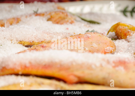 Stock Foto Ente Stücke vorbereitet in Salz, Confit de Canard zu machen. Stockfoto