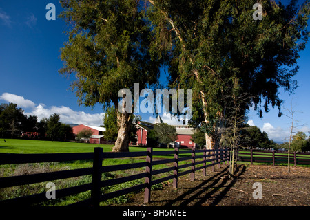 Die rote Scheune mit Zaun und große Bäume, Stanford University, Stanford, California, Vereinigte Staaten. Stockfoto