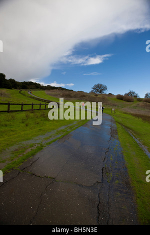 Menschen üben nach einem Regenschauer auf dem Weg in die Schale in den Ausläufern der Stanford auf dem Campus der Stanford Univ befindet sich Stockfoto