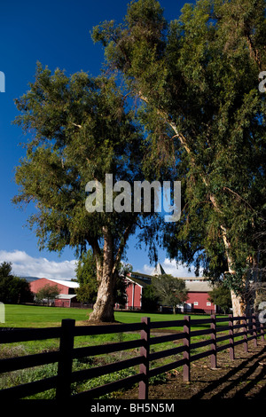 Die rote Scheune mit Zaun und große Bäume, Stanford University, Stanford, California, Vereinigte Staaten. Stockfoto