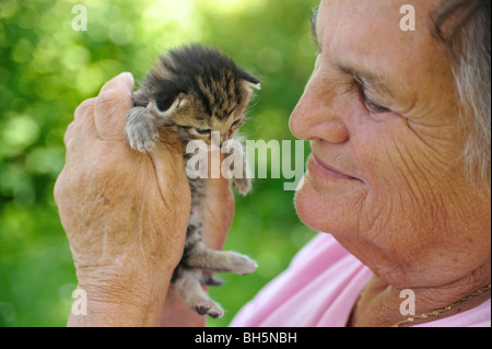 Ältere Frau Holding Kätzchen - outdoor Stockfoto