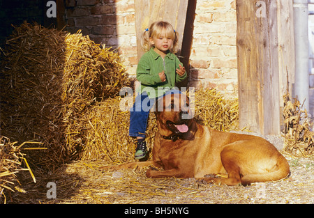 halbe Rasse Hund und ein Mädchen im Stroh Stockfoto