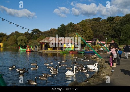 dh Peasholm Teich Menschen SCARBOROUGH PARK NORTH YORKSHIRE UK Herbst Ferienresort Bootfahren See Familie Fütterung Schwäne und Enten Kinder vereinigtes Königreich Stockfoto