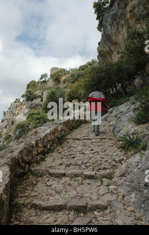 Wanderer auf Trail in den ruin des Castell Alaro, Insel Mallorca, Spanien Stockfoto