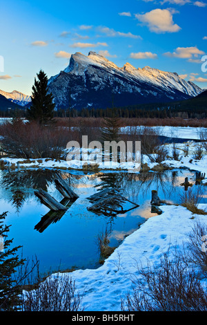 Baumstümpfe im Fransen Feuchtgebiete des 2. Vermilion See während mit Mount Rundle (2949 m/9675 Fuß) in der Ba winter Schnee Stockfoto