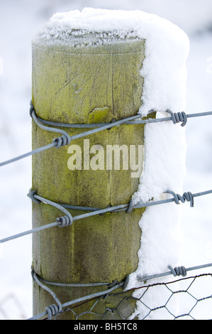 Holzpfosten mit verzinktem Stahldraht ein Zaun oder eine Barriere bilden. Stockfoto