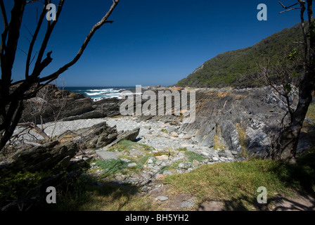 Teil der Otter Trail, Tsitsikamma, Garden Route National Park, Südafrika Stockfoto