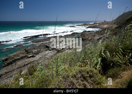 Teil der Otter Trail, Tsitsikamma, Garden Route National Park, Südafrika Stockfoto