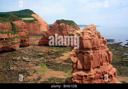 Blick auf Ladram Bucht, East Devon. Die Jurassic Coast, England Stockfoto