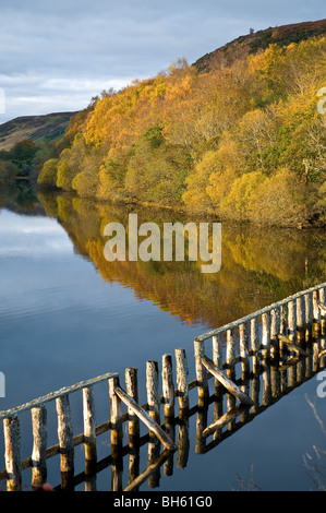 Dh LOCH FLOTTE SUTHERLAND Herbst Baum Farben und Fluss Flotte Schottland Stockfoto