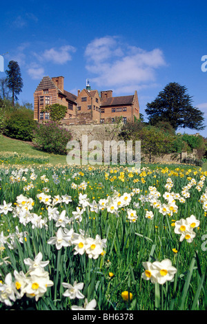 NARZISSEN IM GARTEN VON CHARTWELL HAUS, WINSTON CHURCHILLS HAUS, WESTERHAM, KENT, ENGLAND Stockfoto