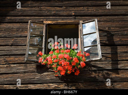 Blumen Dekoration Bauernhof Fenster Stockfoto