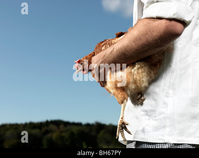 Koch Holding Henne Stockfoto