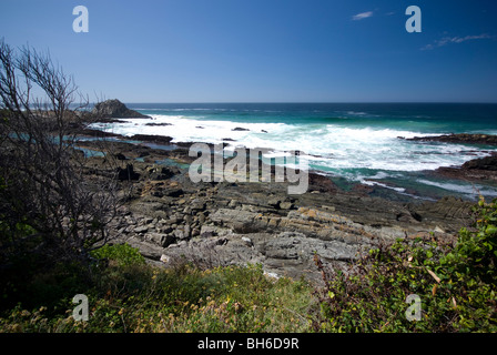 Teil der Otter Trail, Tsitsikamma, Garden Route National Park, Südafrika Stockfoto