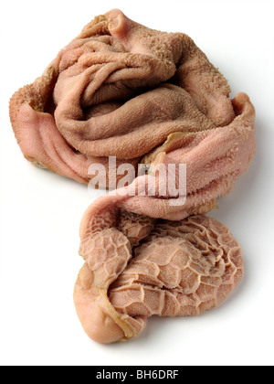 Gänseleber auf weißem Hintergrund Stockfoto