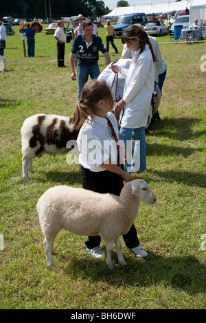 KLEINES MÄDCHEN MIT SCHAFEN CHEPSTOW LANDWIRTSCHAFTLICHE ZEIGEN IM LINEUP WARTET FÜR DIE BEURTEILUNG Stockfoto