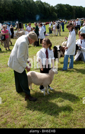 KLEINES MÄDCHEN MIT SCHAFEN CHEPSTOW LANDWIRTSCHAFTSAUSSTELLUNG Stockfoto