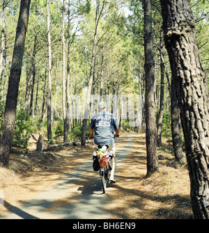 Senior im Wald in Arbeit weniger T-shirt Stockfoto