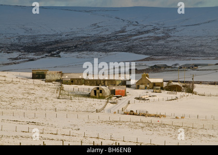 dh Landwirtschaft ORKNEY Kleinbauern Bauernhaus und landwirtschaftliches Gebäude Schaf Herde bergende Schneefelder Stockfoto