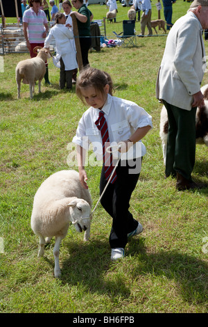 KLEINES MÄDCHEN MIT SCHAFEN CHEPSTOW LANDWIRTSCHAFTSAUSSTELLUNG Stockfoto