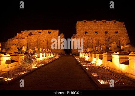 Nachtprogramm Beleuchtung im Tempel von Karnak in Luxor, Ägypten, Afrika Stockfoto