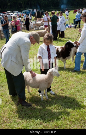 KLEINES MÄDCHEN MIT SCHAFEN CHEPSTOW LANDWIRTSCHAFTSAUSSTELLUNG Stockfoto