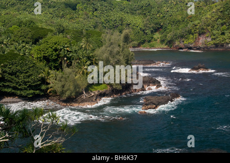 Küste Strand nördlich von Hilo, Hawaii (Big Island) Stockfoto