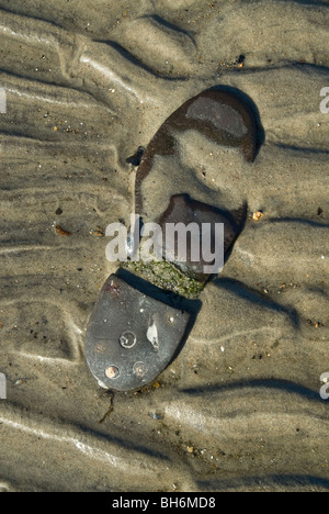 Barren-Insel in der Toten Pferd Bay in der Gateway National Recreation Area in Brooklyn in New York Stockfoto