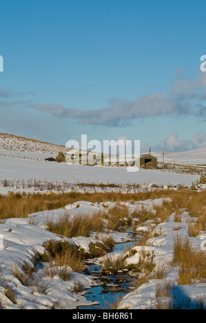dh Naversdale ORPHIR ORKNEY Snowy bedeckte Moorlandschaft eisige Bachfelder Bauernhaus Schnee Winterzeit schottland Winterhaus Stockfoto