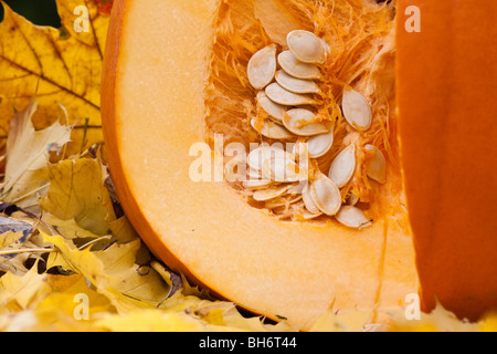 Orangefarbener Kürbis mit Samen und Herbstfarbe hinterlässt Hintergrund Nahaufnahme Vorderansicht Niemand Fotos Hintergrund horizontal hochauflösende Bilder Stockfoto