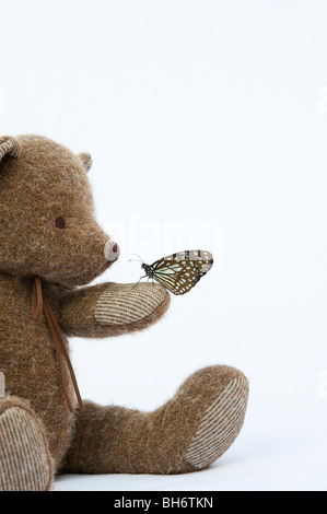 Teddy Bär hält einen Blue Tiger Schmetterling vor einem weißen Hintergrund Stockfoto