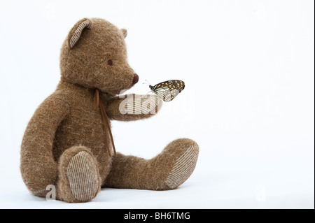 Teddy Bär hält einen Blue Tiger Schmetterling vor einem weißen Hintergrund Stockfoto