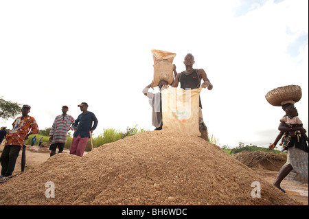 Männer, die Bereitstellung von Kies für Diamant Bergbau Kono Bezirk Sierra Leone Stockfoto