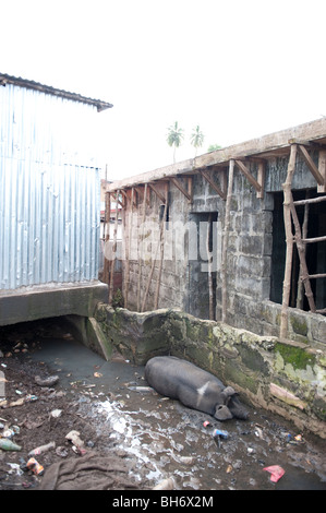 Kingtom Bomeh Müllkippe. Freetown in Sierra Leone Stockfoto