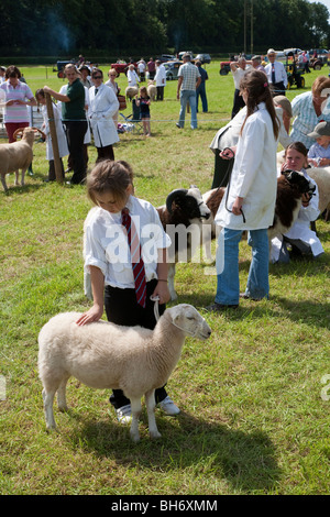 KLEINES MÄDCHEN MIT SCHAFEN CHEPSTOW LANDWIRTSCHAFTSAUSSTELLUNG NACH ZU URTEILEN, START WARTEN Stockfoto